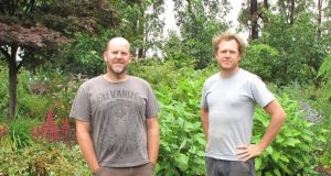 Matt and Mike from Antique Perennials are supplying plants to Ian Barker Gardens for MIFGS 2016