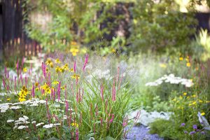 Ian Barker Gardens_Melbourne International Flower & Garden Show 2016_Sally Plottel Photography_Naturalistic Planting