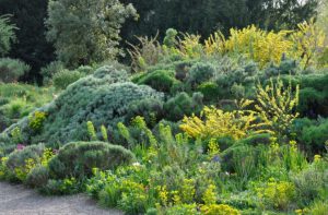 Cassian Schmidt International Garden Designer. Ian Barker Gardens. Garden Notebook Edition 23