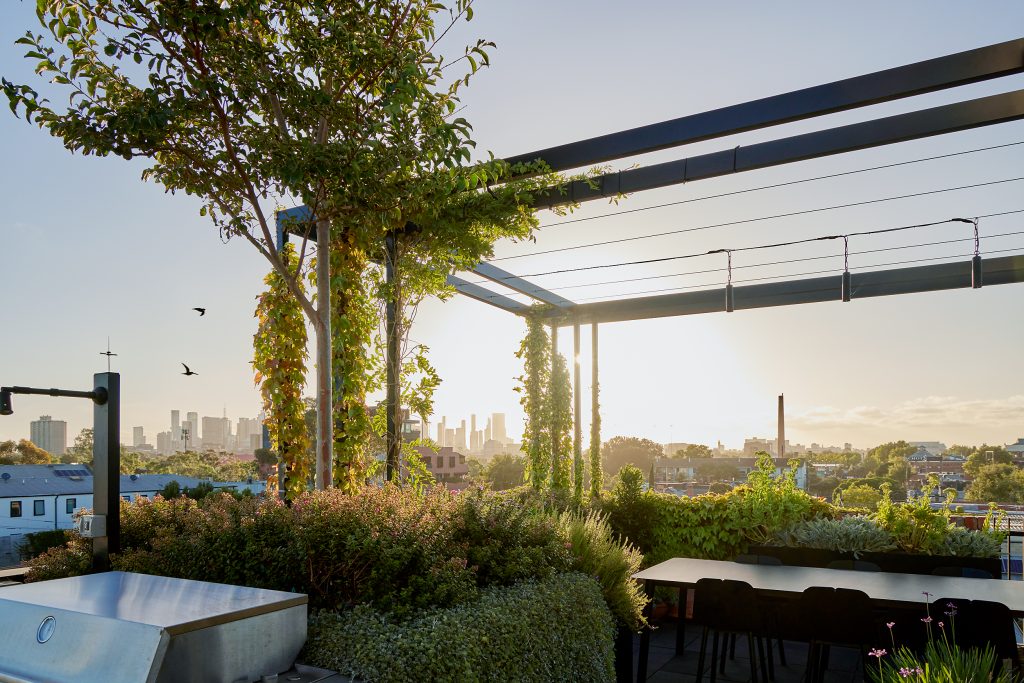 Hanging lights by the Garden at Night, in a Clifton Hill Ian Barker Gardens landscape design. The lights are hanging from a steel pergola on a rooftop, with Melbourne CBD views.