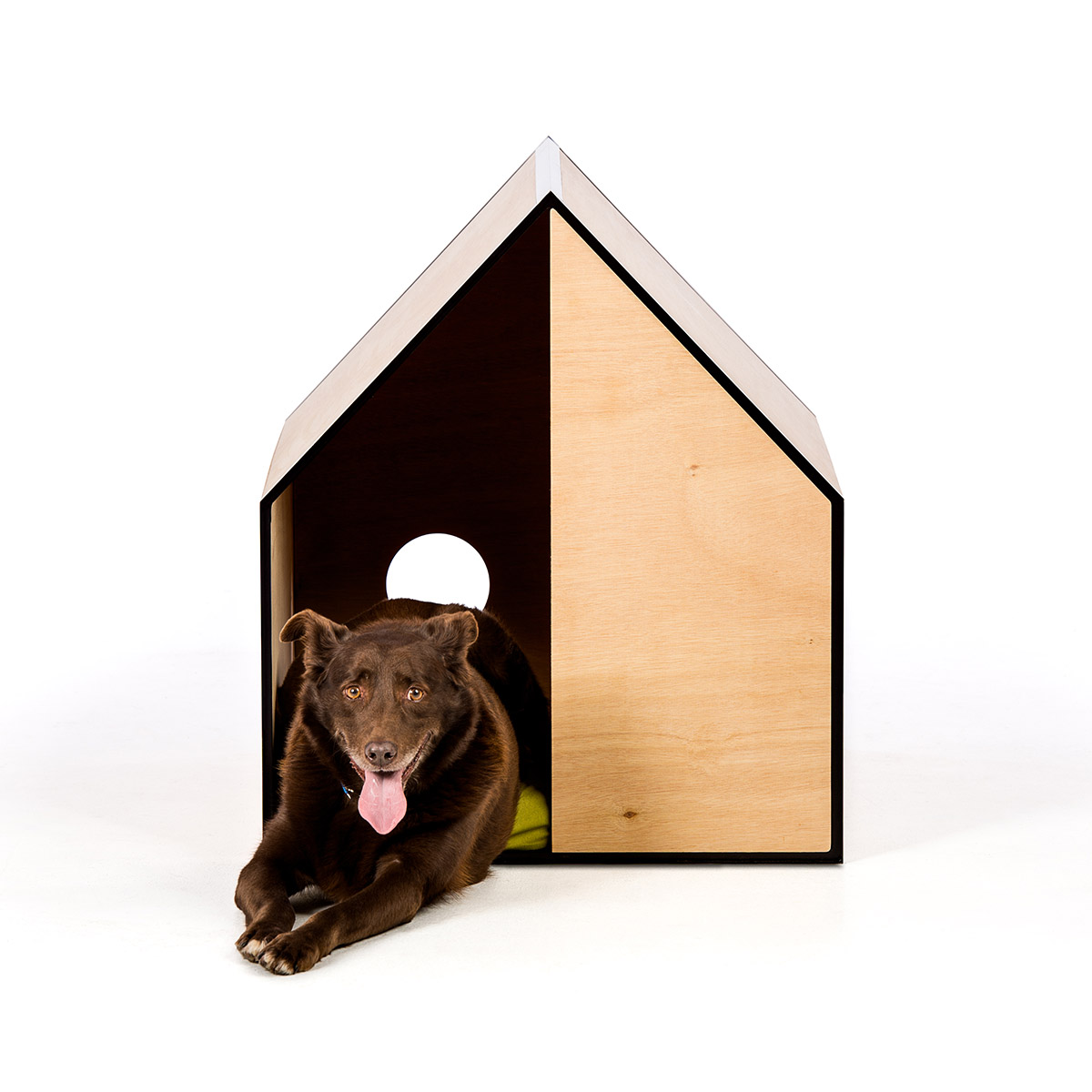 Made By Pen The Dog Room Wish List Ian Barker Gardens Made By Pen The Dog Room Wish List Ian Barker Gardens