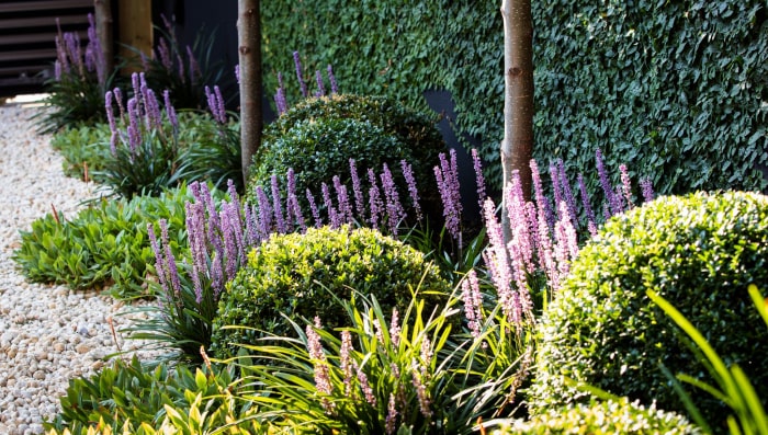 Garden Maintenance - Ian Barker Gardens