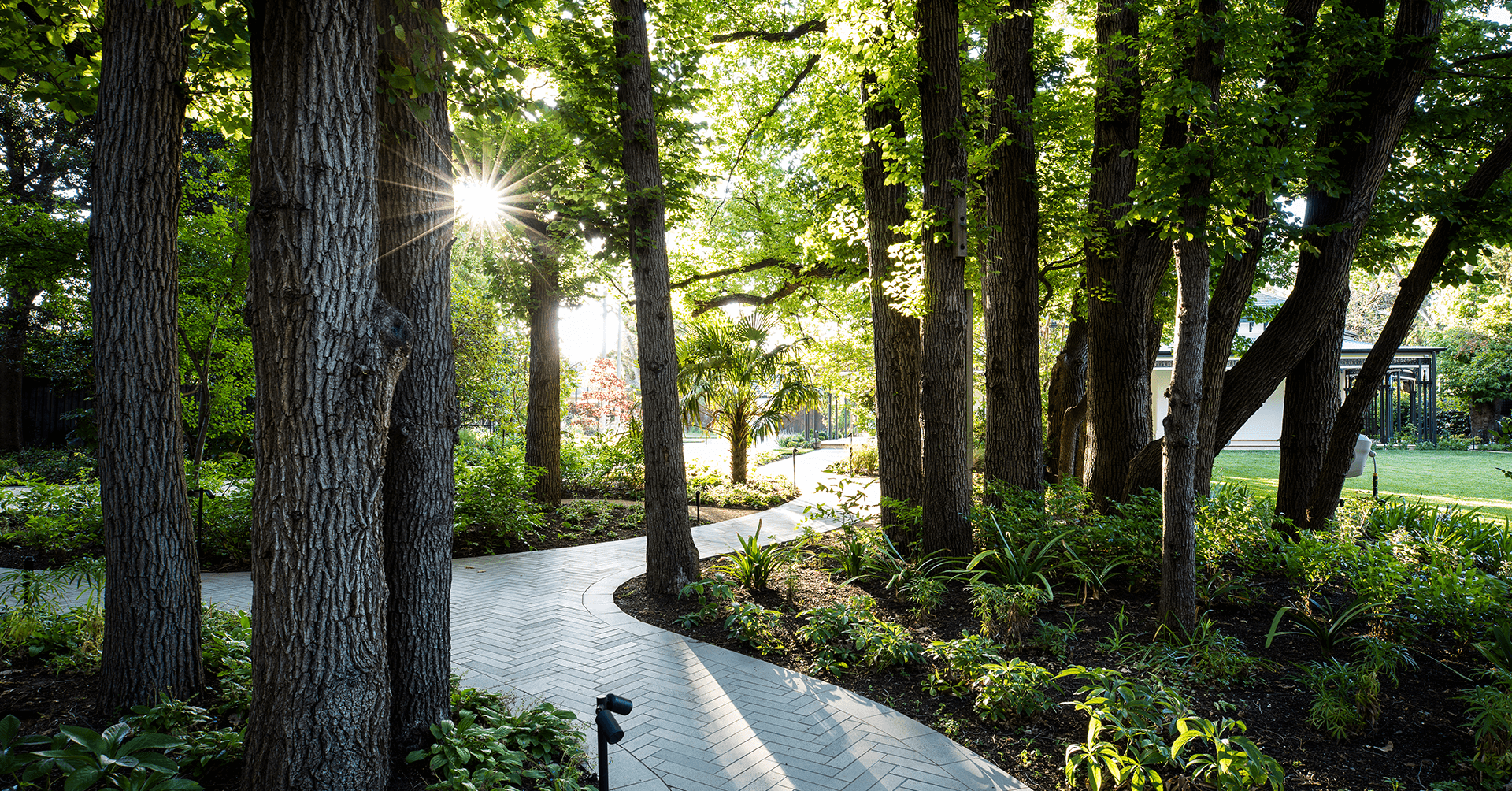 Deepdene Landscape Design and Construction by Ian Barker Gardens