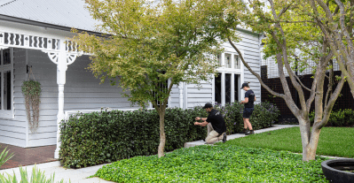 Garden Maintenance