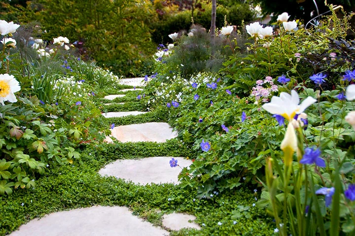 Chelsea Flower Show Ian Barker Gardens 