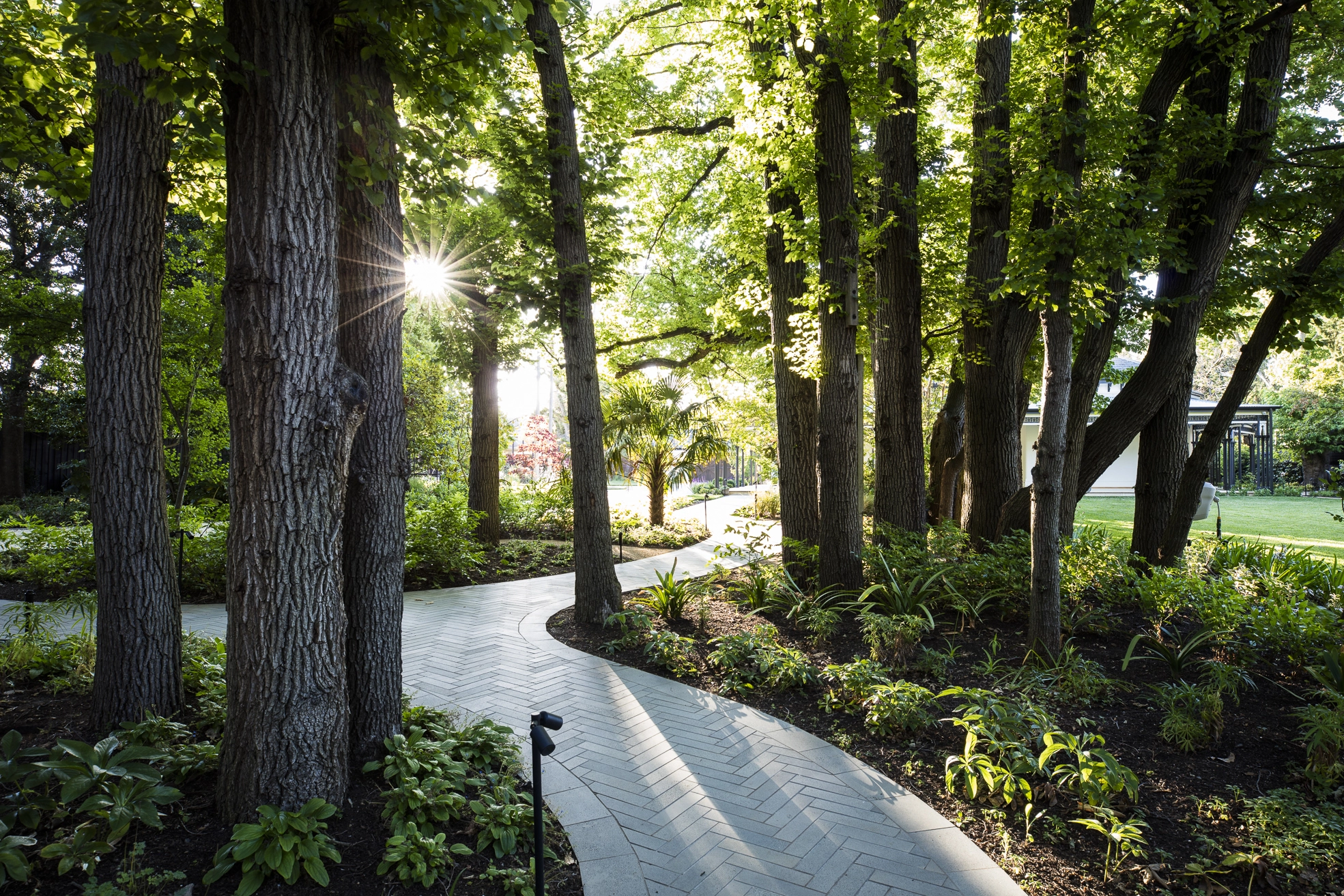 The Forest Garden