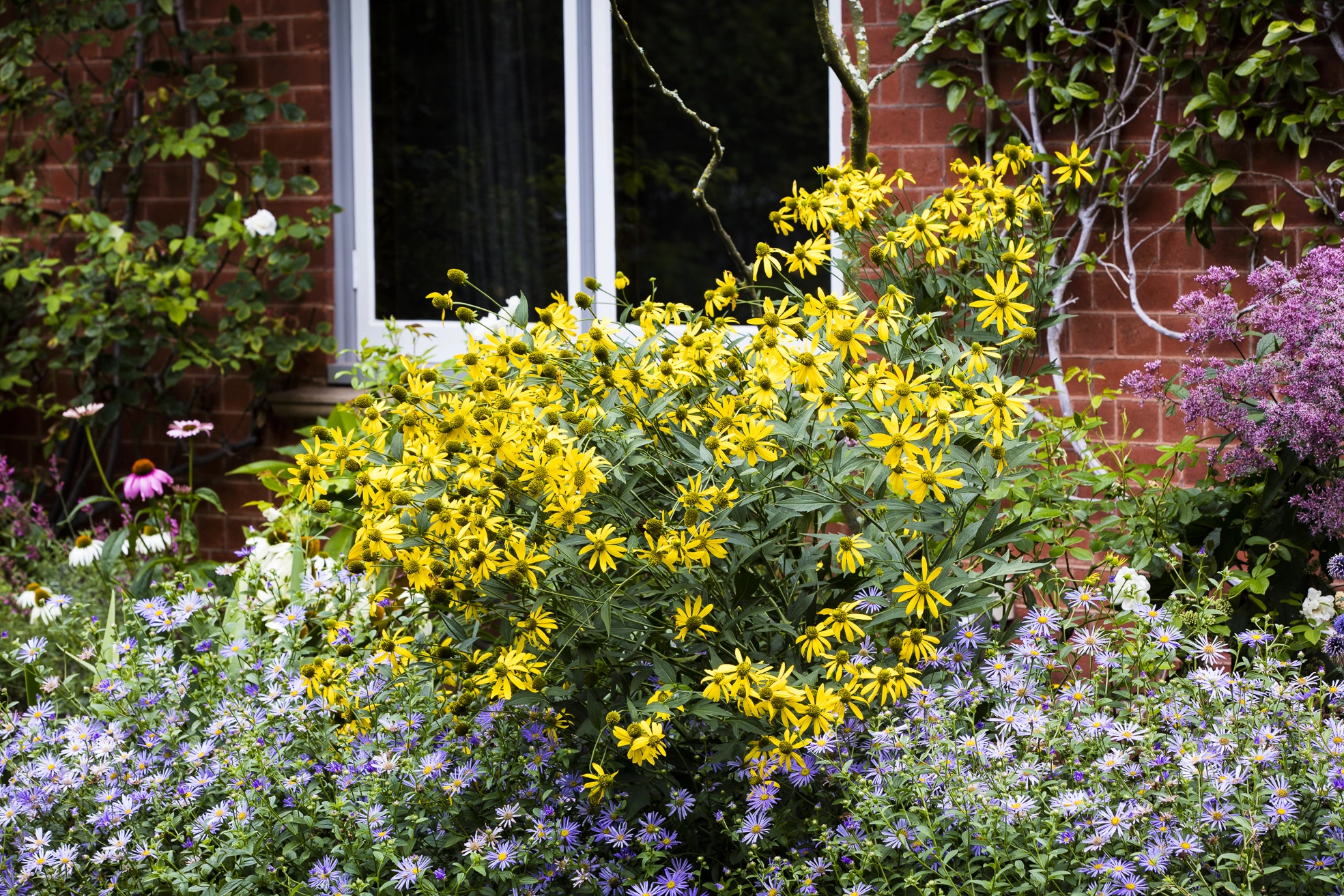 Blog Image