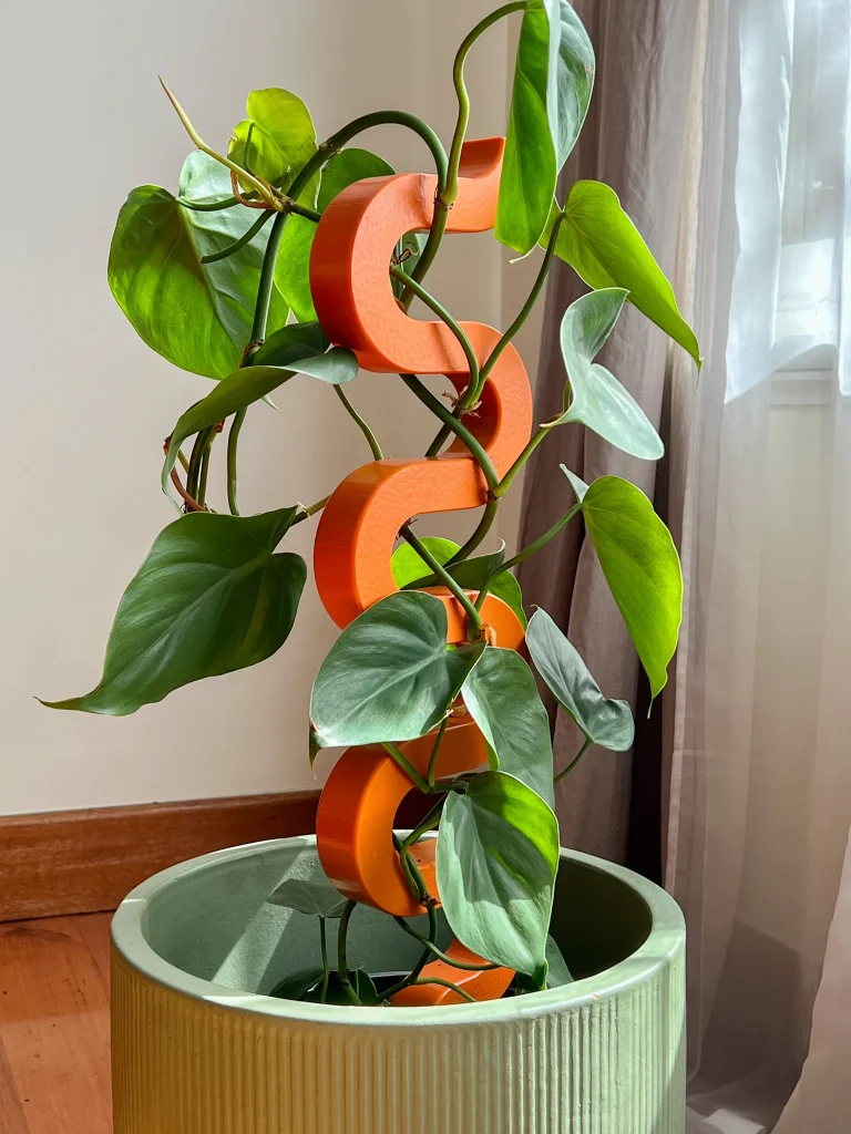 Boa plant stake