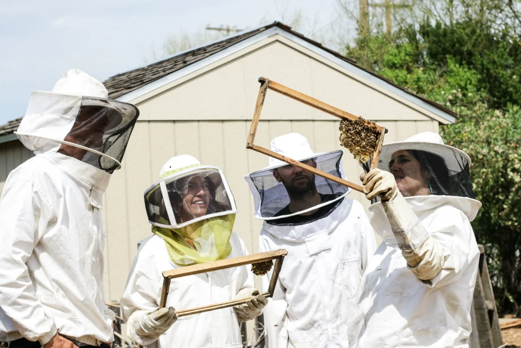 Beekeeping at home