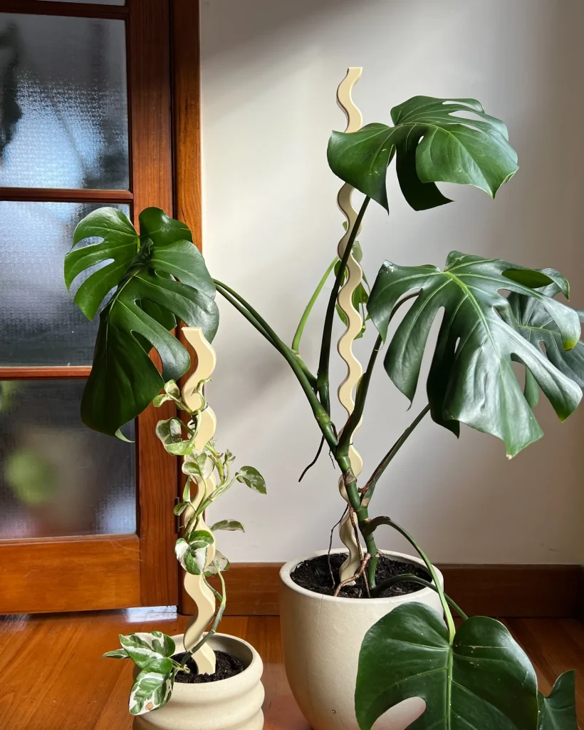 Wave plant stands