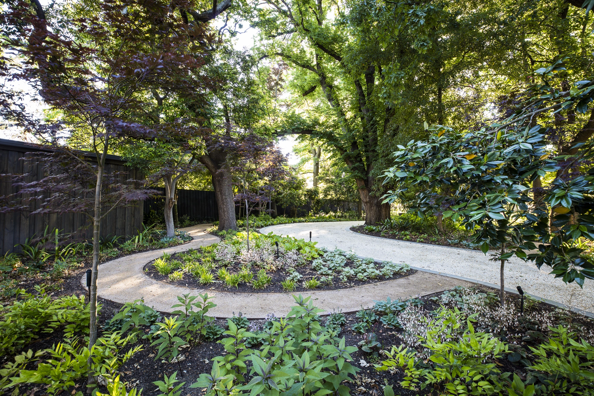 The Woodland Garden
