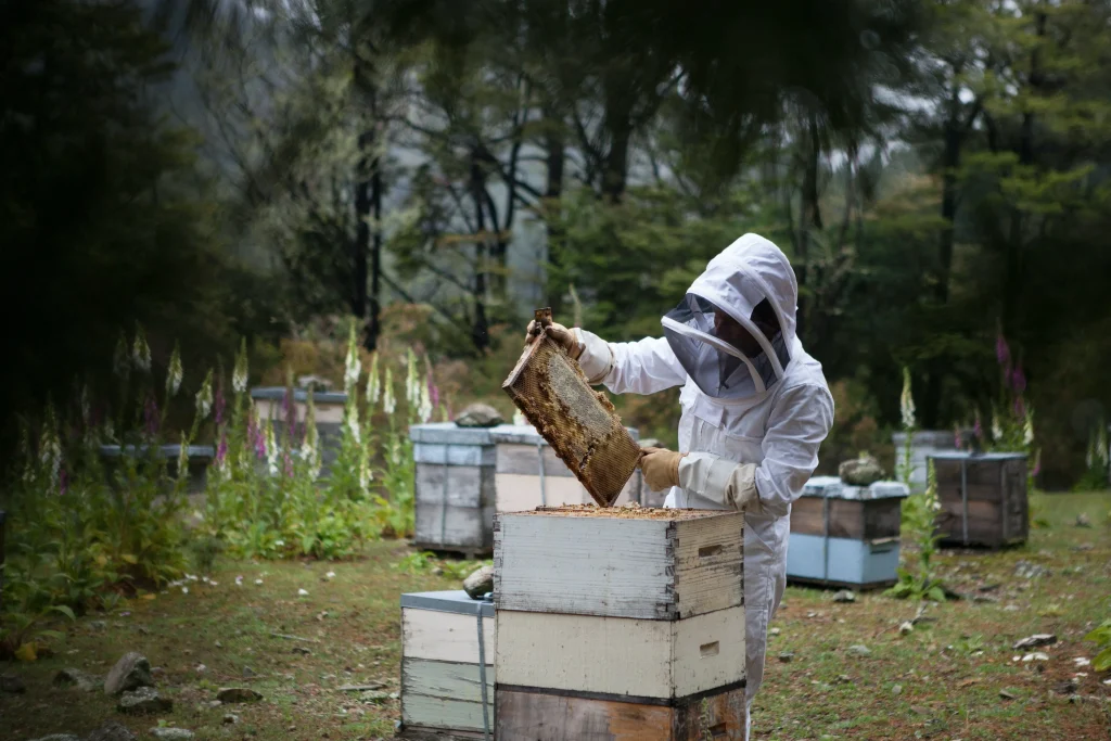 Beekeeper