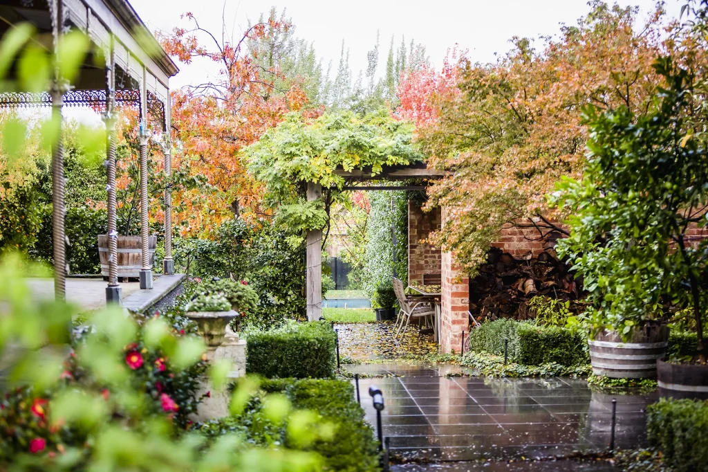 Top Autumn gardening tips