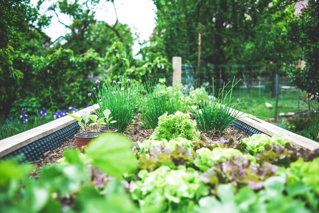 Edible garden