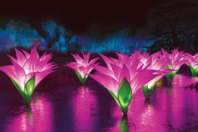 Lightscape at the Royal Botanic Gardens Melbourne