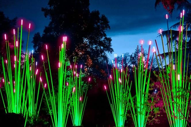 Lightscape at the Royal Botanic Gardens Melbourne