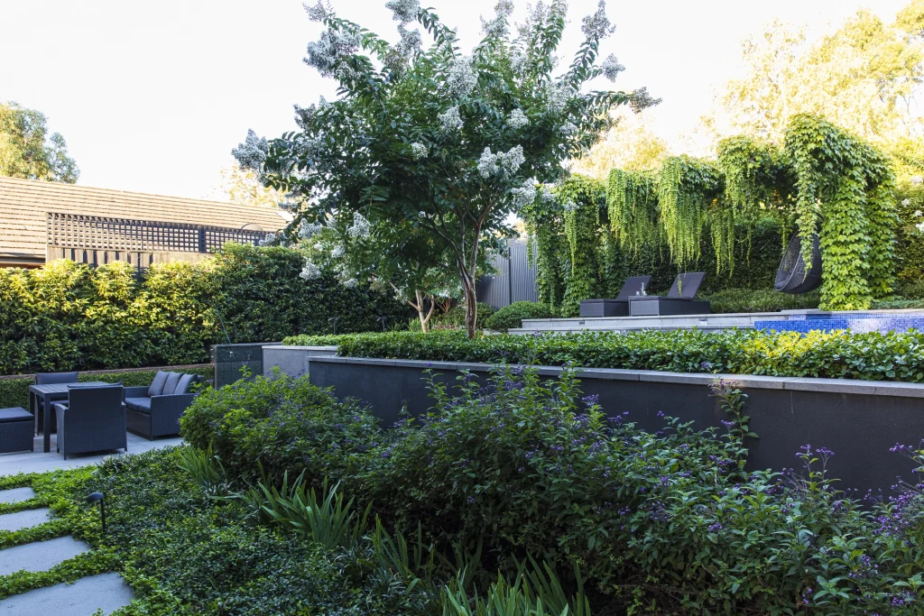 Ian Barker Gardens designed garden.