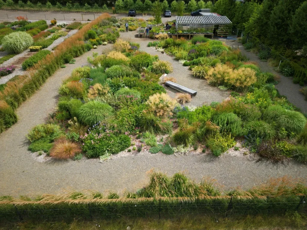 Antique Perennials display garden