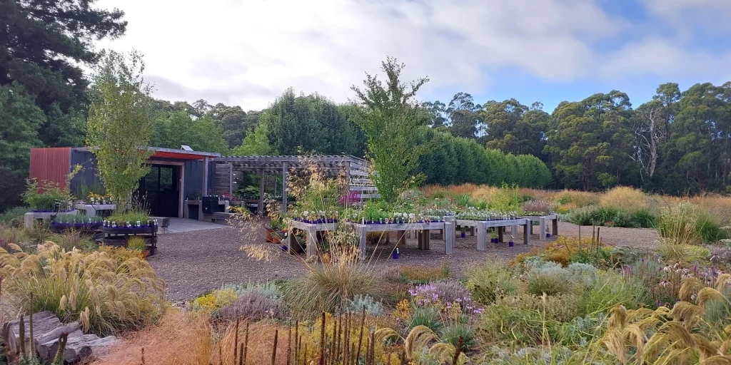 Antique Perennials retail nursery
