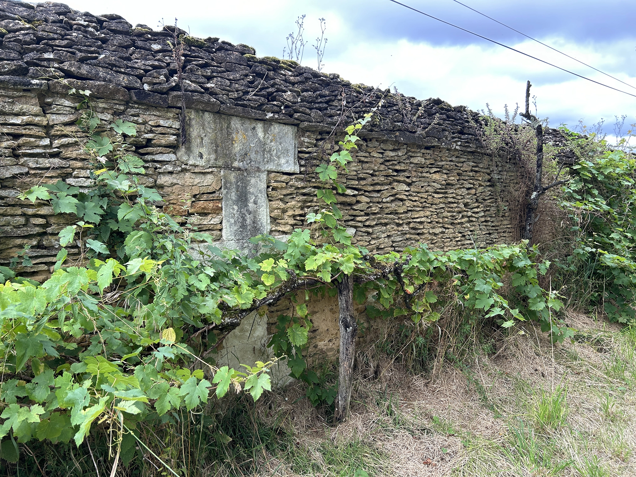Blog Image