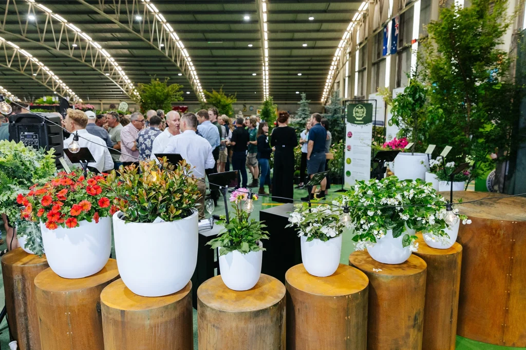 NGIV Summer Soiree Plant of the Year contenders. 