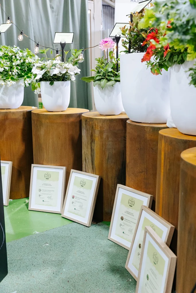 NGIV Summer Soiree Plant of the Year contenders. 