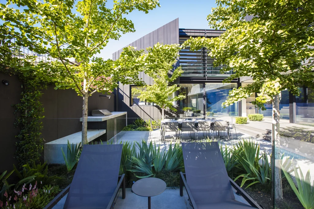 Ginkgo biloba - Bayside Retreat