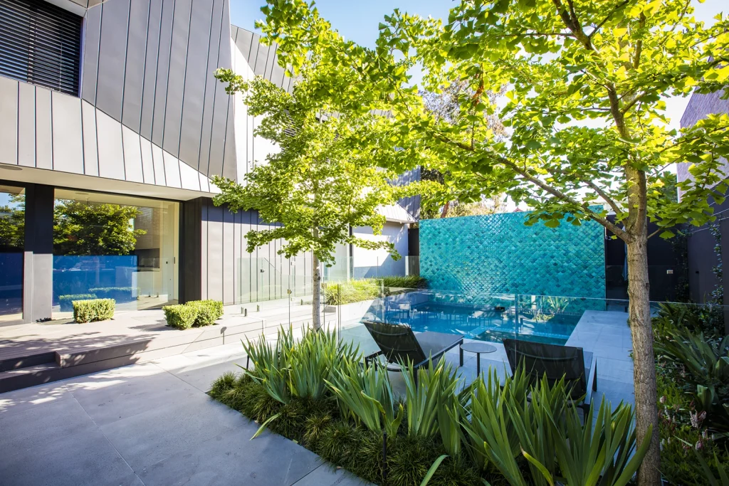 Gingko biloba - Bayside Retreat