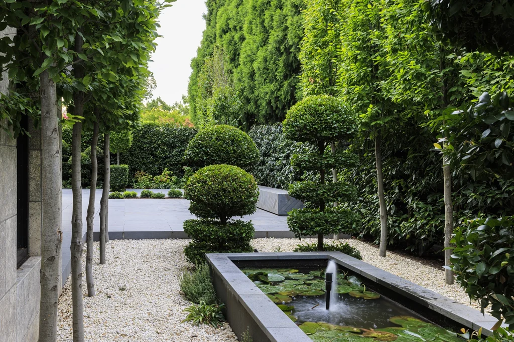 Water Feature