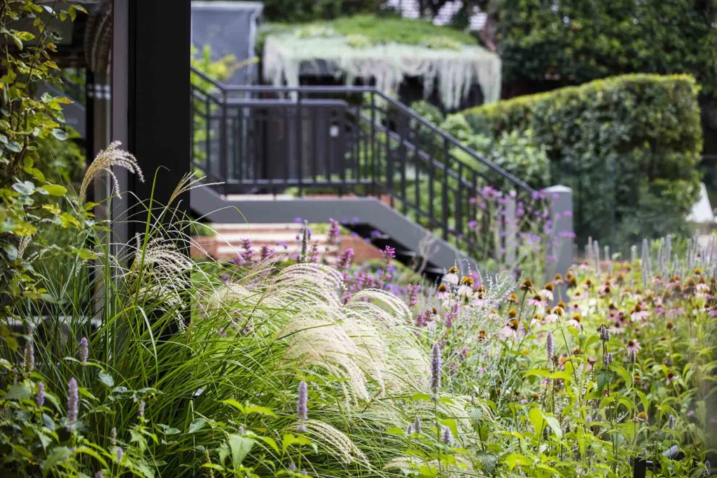 Glen Iris Levels Garden Border
