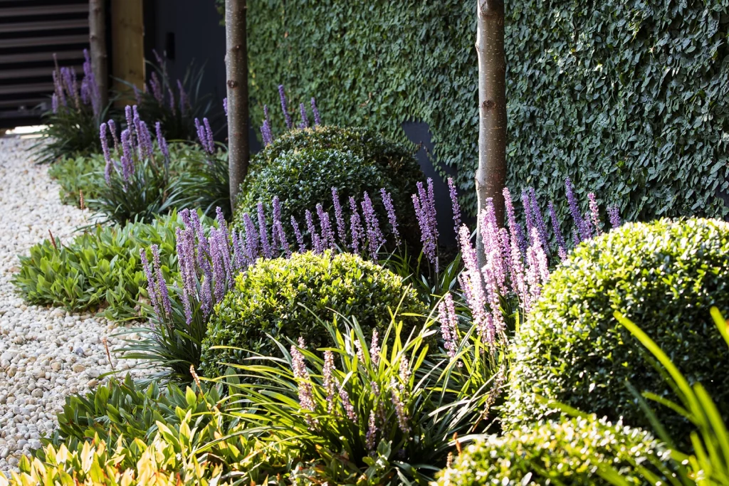 Malvern Entertainer Garden Border