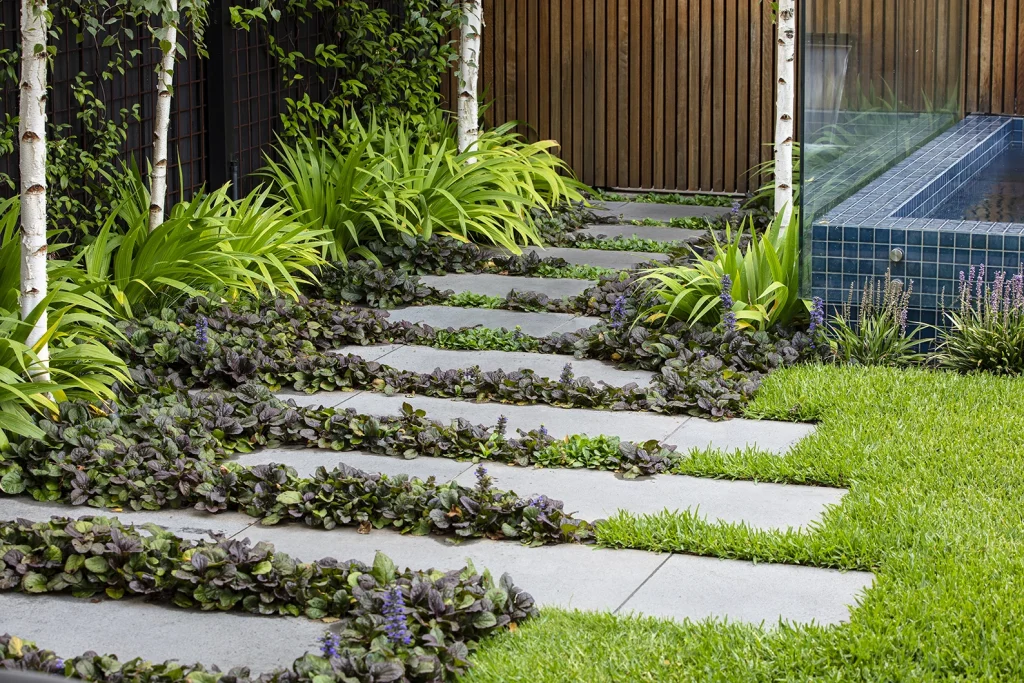 Ajuga reptans
