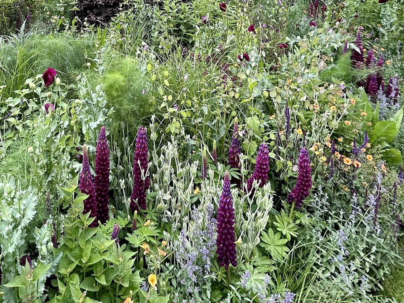 RHS Chelsea Flower Show
