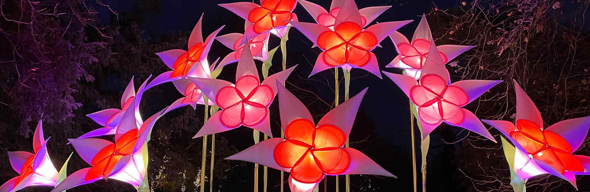 Lightscape 2025