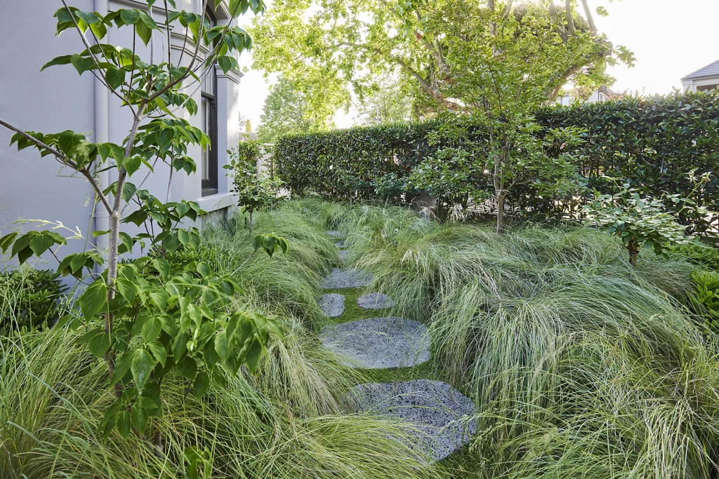 Start your landscaping journey