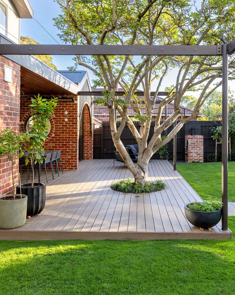 Given its size and presence, Magnolia x soulangeana is most often used as a garden's focal point, planted alone within a lawn or deck, showcased in our Hawthorn East Escape project. It can also be trained as an espalier against a wall or fence, forming a feature along a boundary line. Within a courtyard, it works well as a controlled-size architectural element, where its fragrance can be enjoyed at close range.
