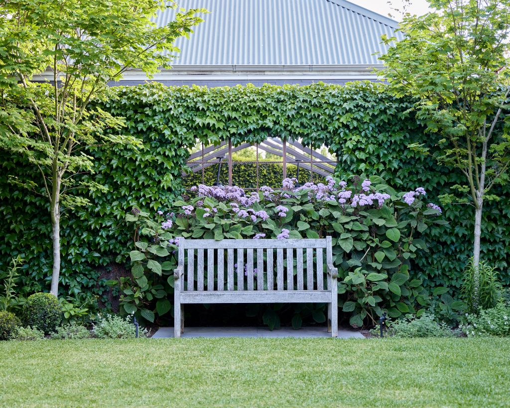 A landscape design in Canterbury, Victoria designed by Ian Barker Gardens. Including a feature mirror, timber bench seat, and two mature trees, with Boston Ivy along the existing wall.