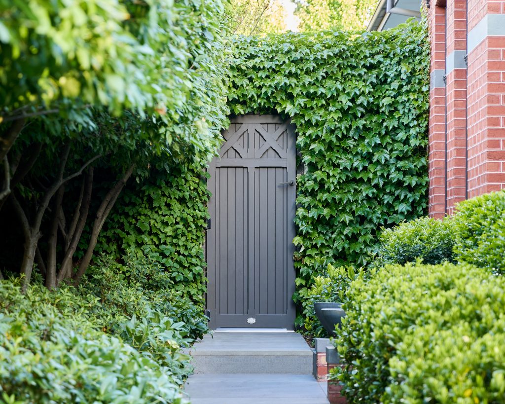 A garden designed by Ian Barker Gardens in Canterbury, Victoria. Boston ivy being the main feature climbing the feature well with hedging and Buxus along the sides of the path.