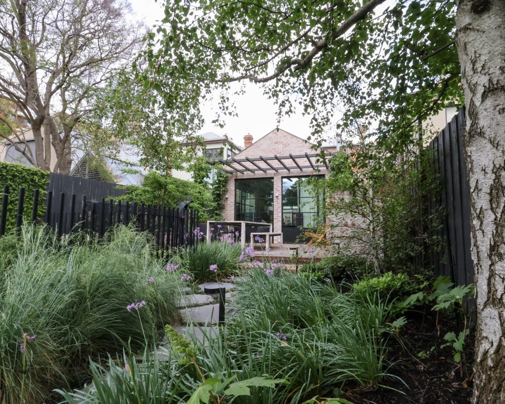 A landscape design in Parkville, Victoria by Ian Barker Gardens. Plants include Society Garlic, Poa labillardieri ‘eskdale’. With a brick exterior of the home, and bluestone steppers with garden lighting.